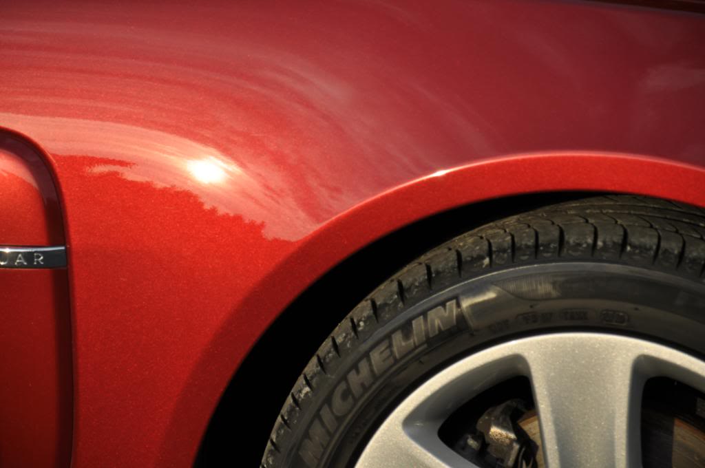 DSC_0207.jpg
