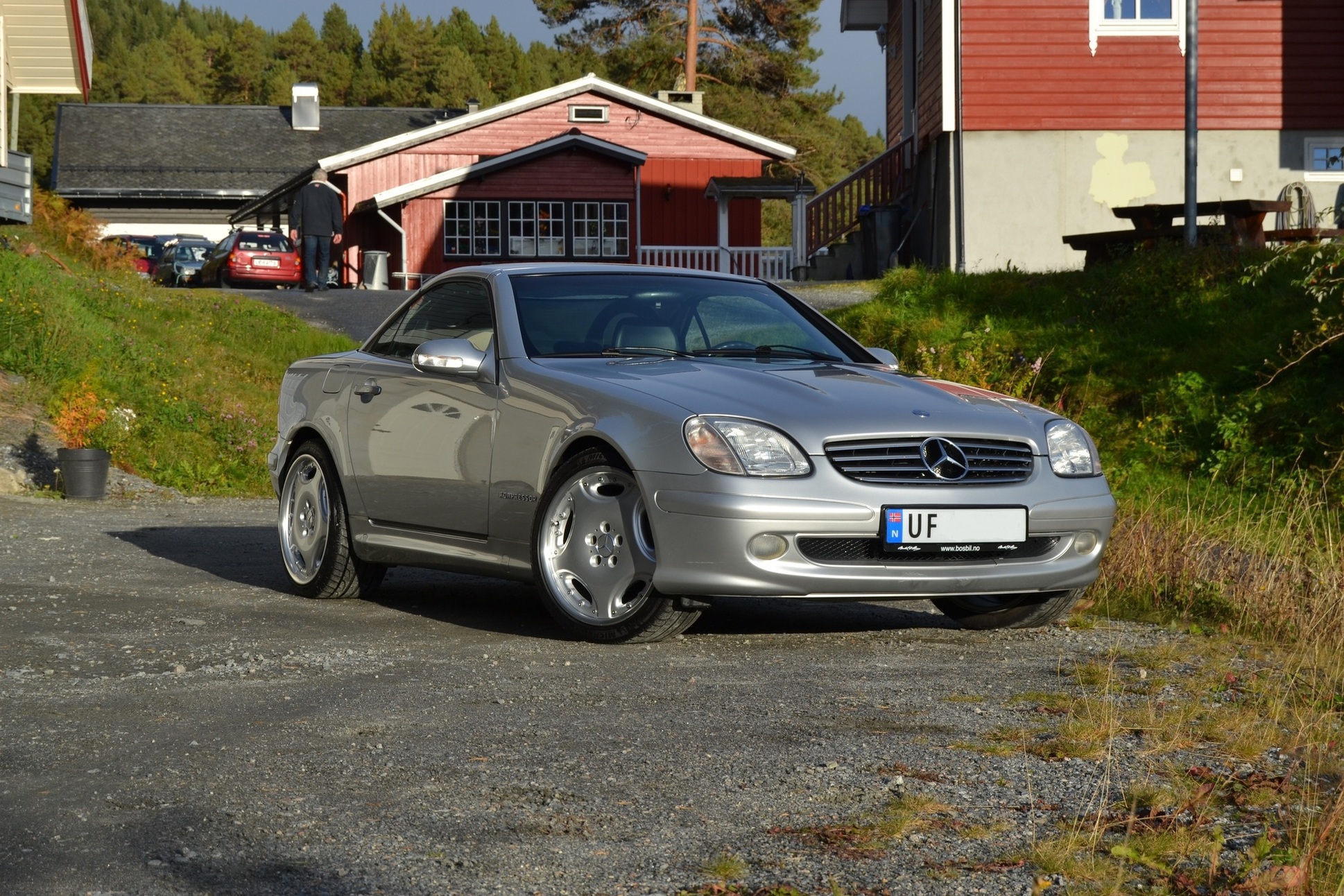 DSC_0230.jpg