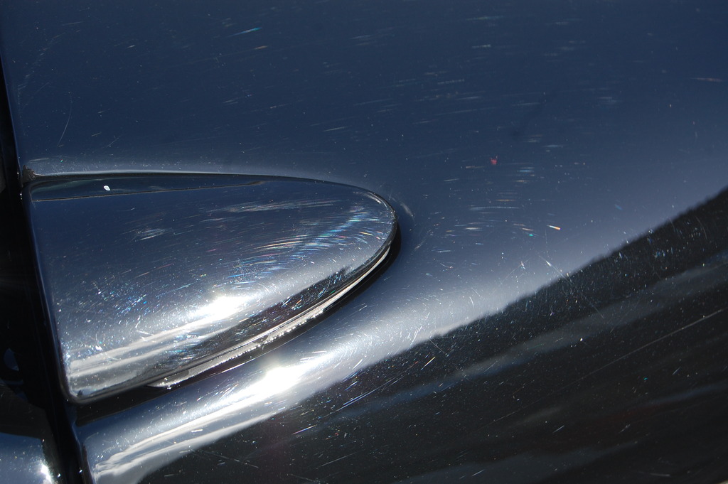 DSC_0240_zps25vmtekz.jpg