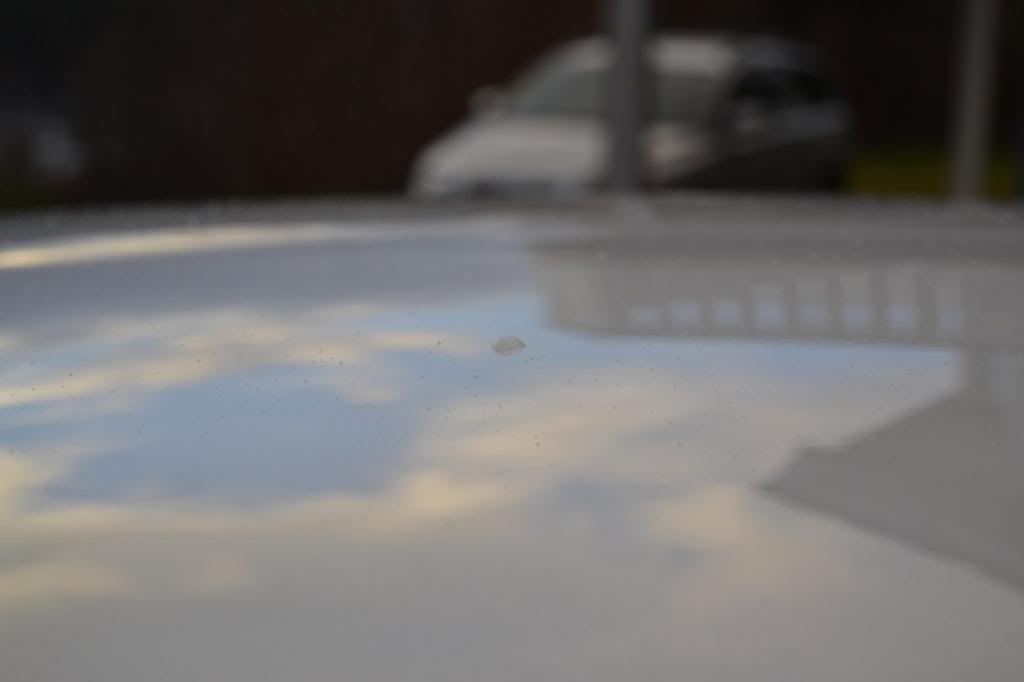 DSC_0246_1200x800.jpg