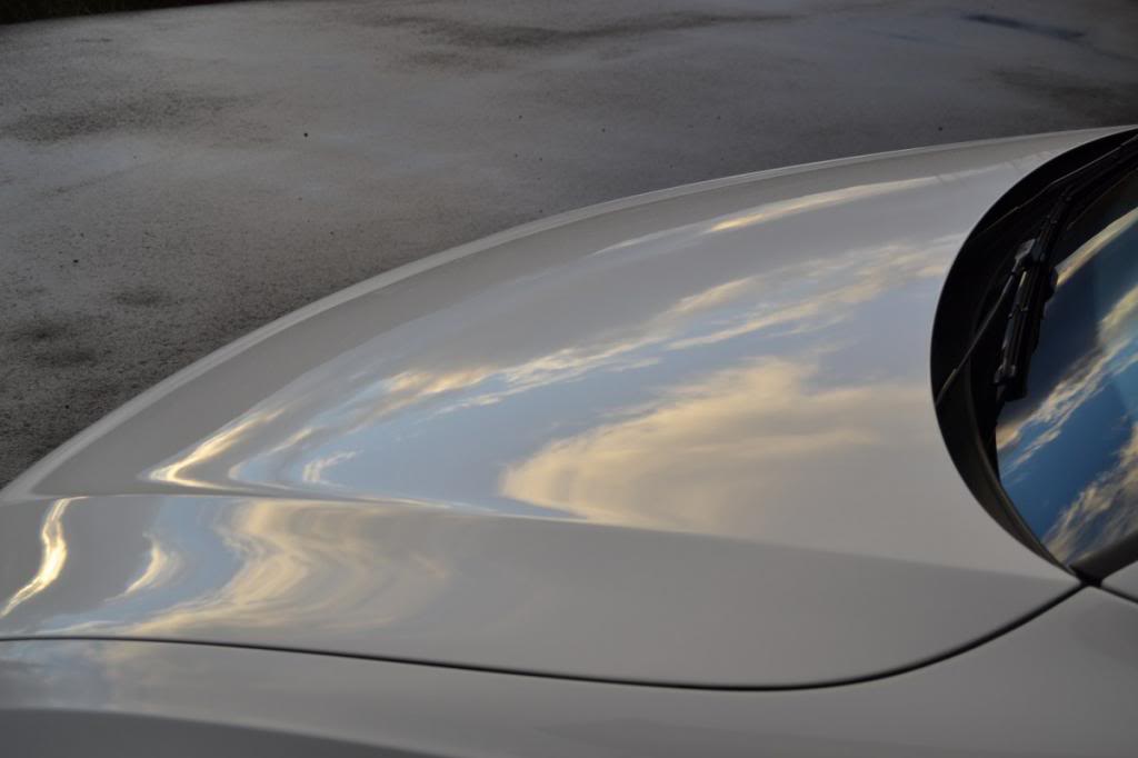 DSC_0247_1200x800.jpg
