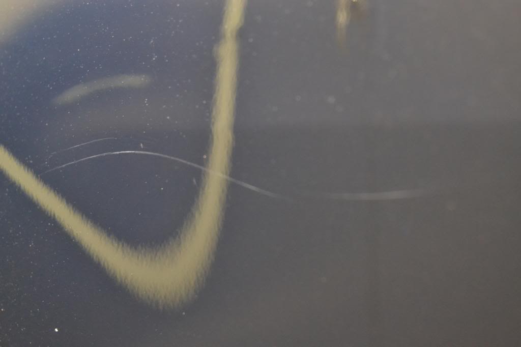 DSC_0256.jpg