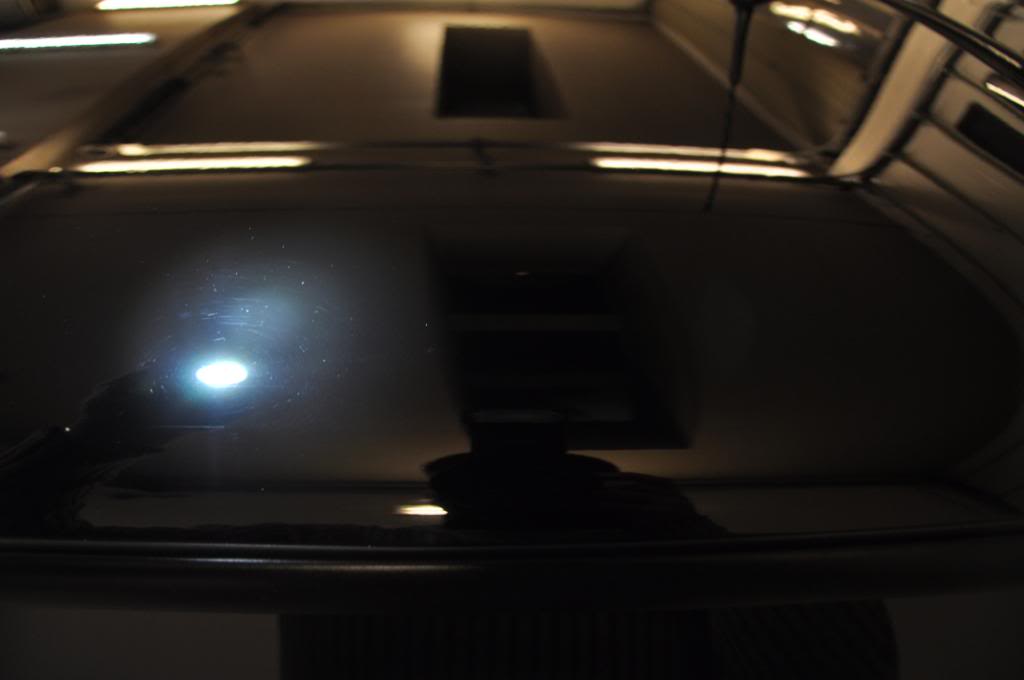 DSC_0256.jpg