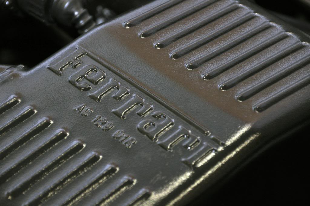 DSC_0258.jpg