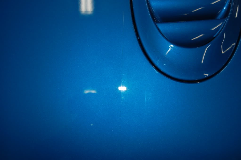 DSC_0271-1.jpg