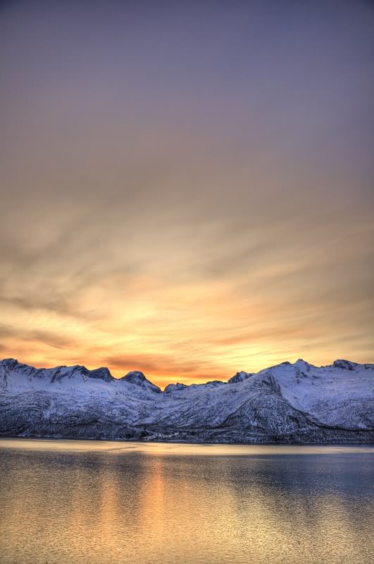 DSC_0280_1_2.jpg