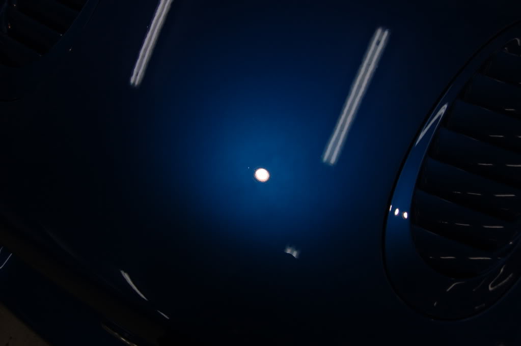 DSC_0290.jpg