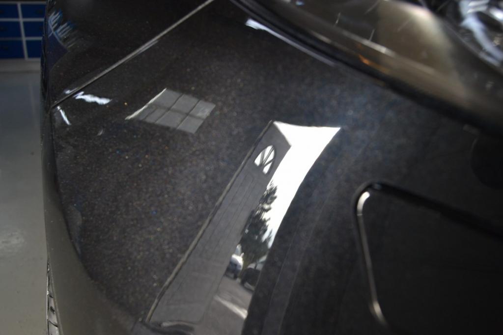 DSC_0303_1200x800.jpg