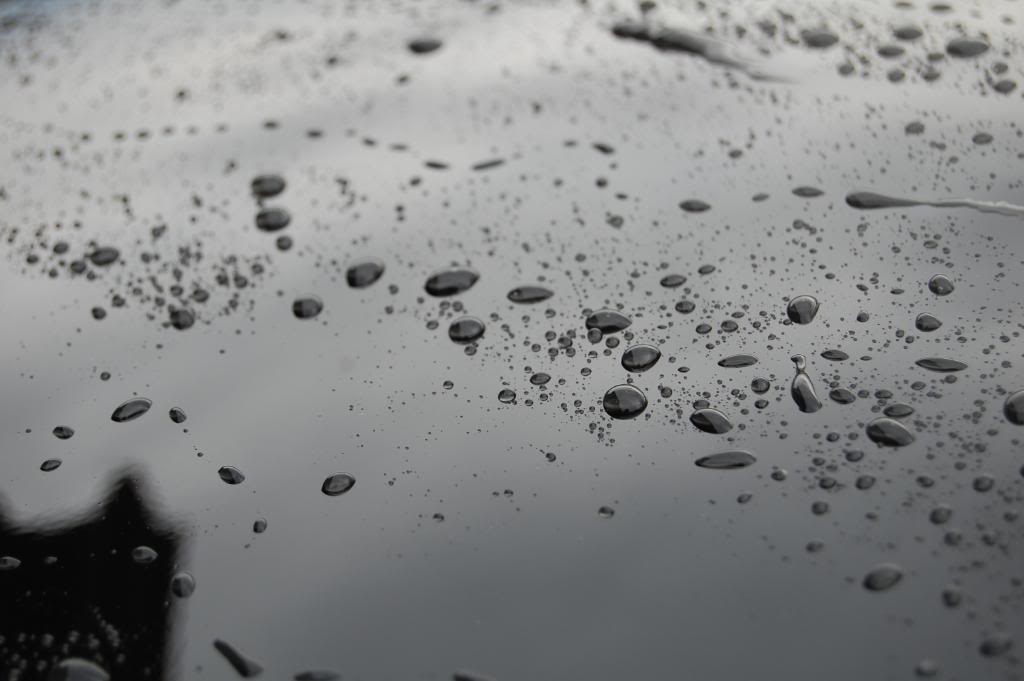 DSC_0362.jpg