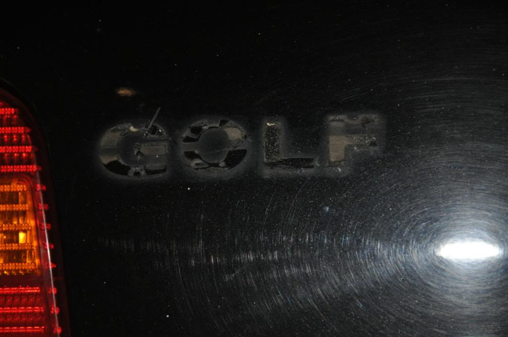 DSC_0380.jpg