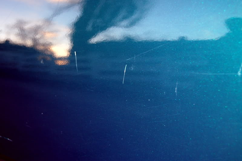 DSC_0387.jpg
