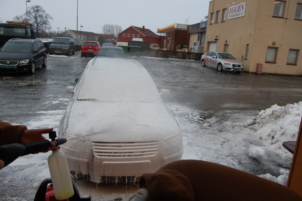 DSC_0390.jpg