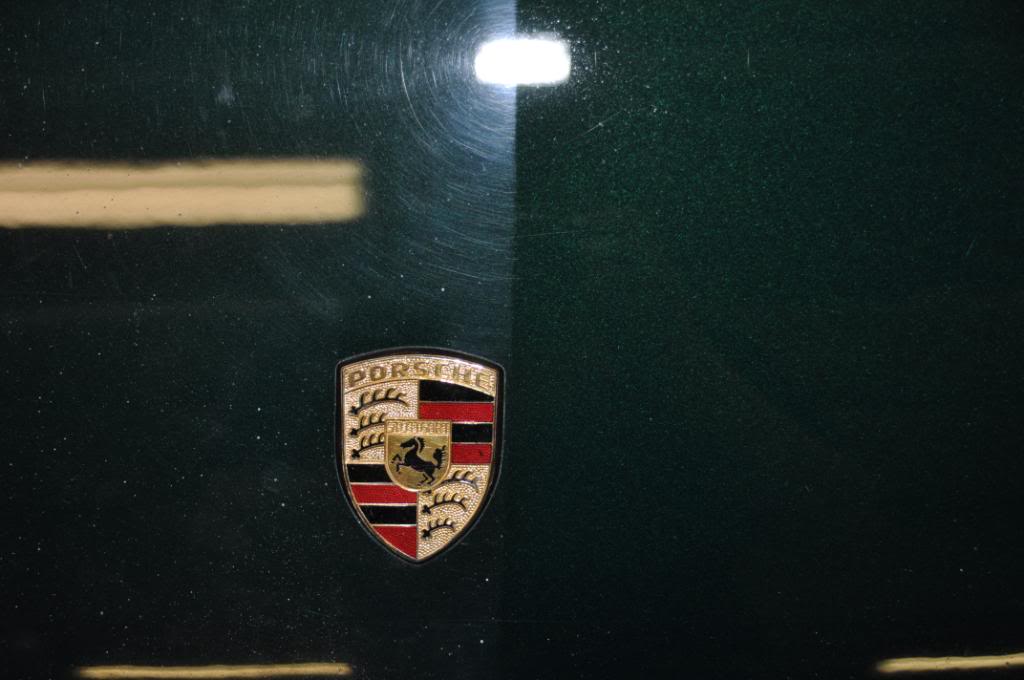 DSC_0397.jpg