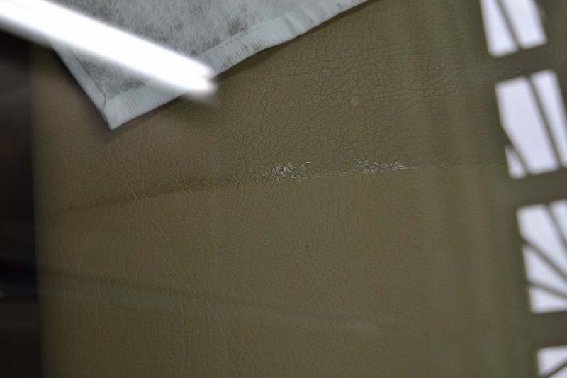 DSC_0423_800x533.jpg