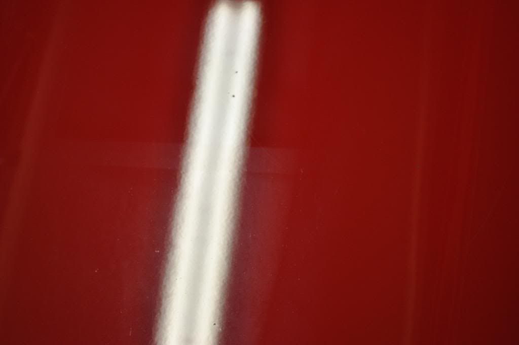 DSC_04272.jpg