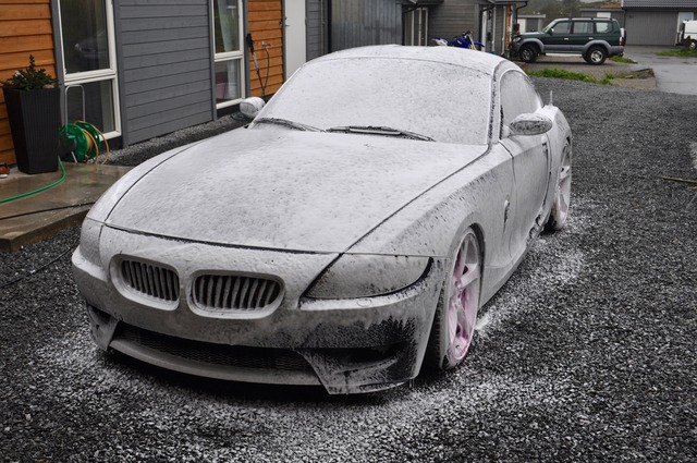 DSC_0444.jpg