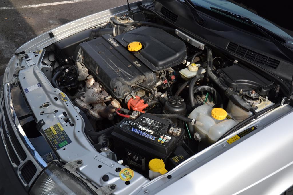 DSC_0445_zpsda374920.jpg