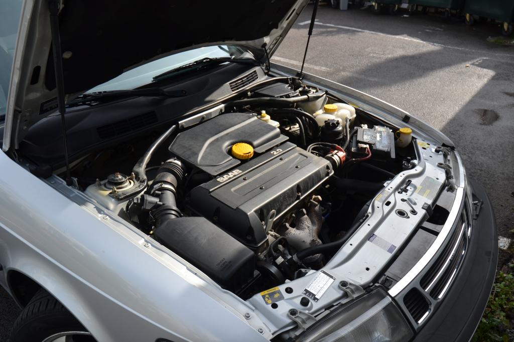 DSC_0447_zps889df408.jpg