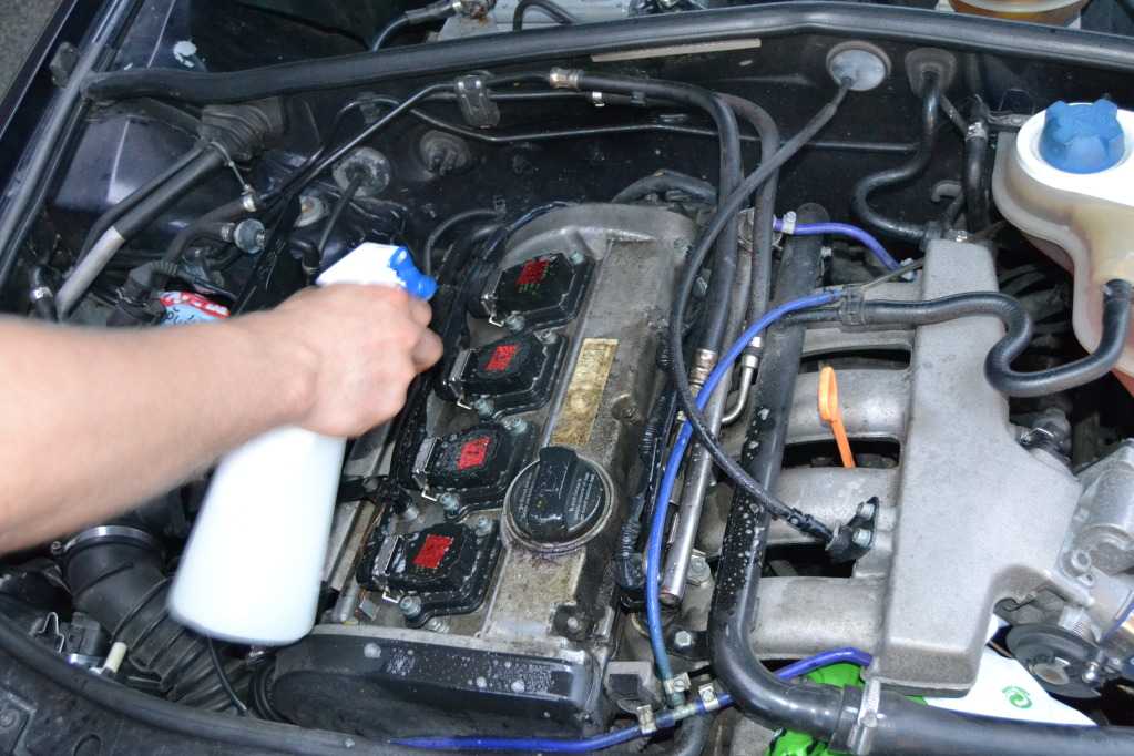 DSC_0455.jpg