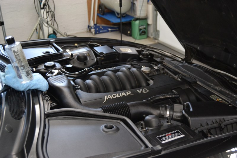 DSC_0469_800x533.jpg