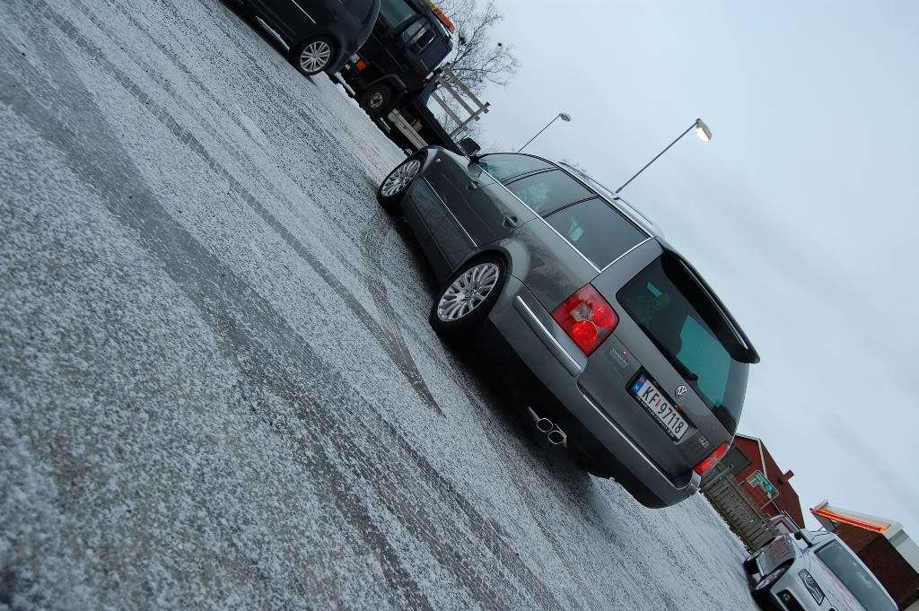 DSC_0486.jpg