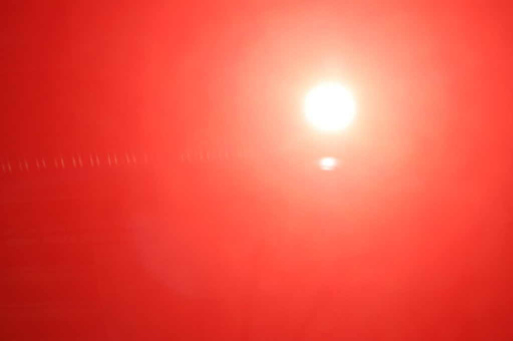 DSC_0487.jpg
