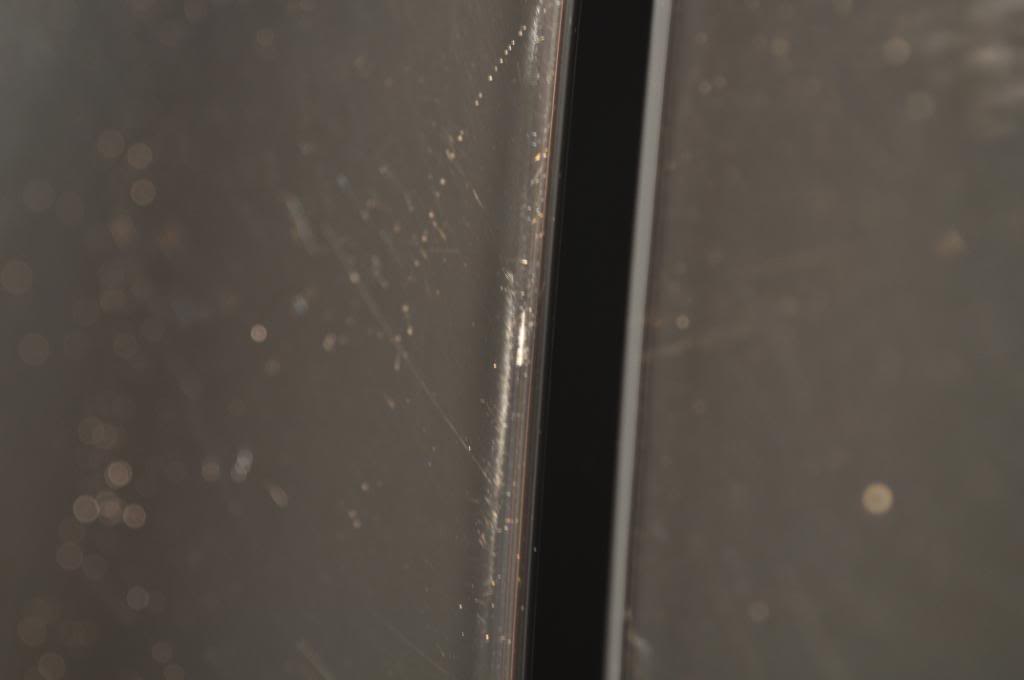 DSC_0498.jpg