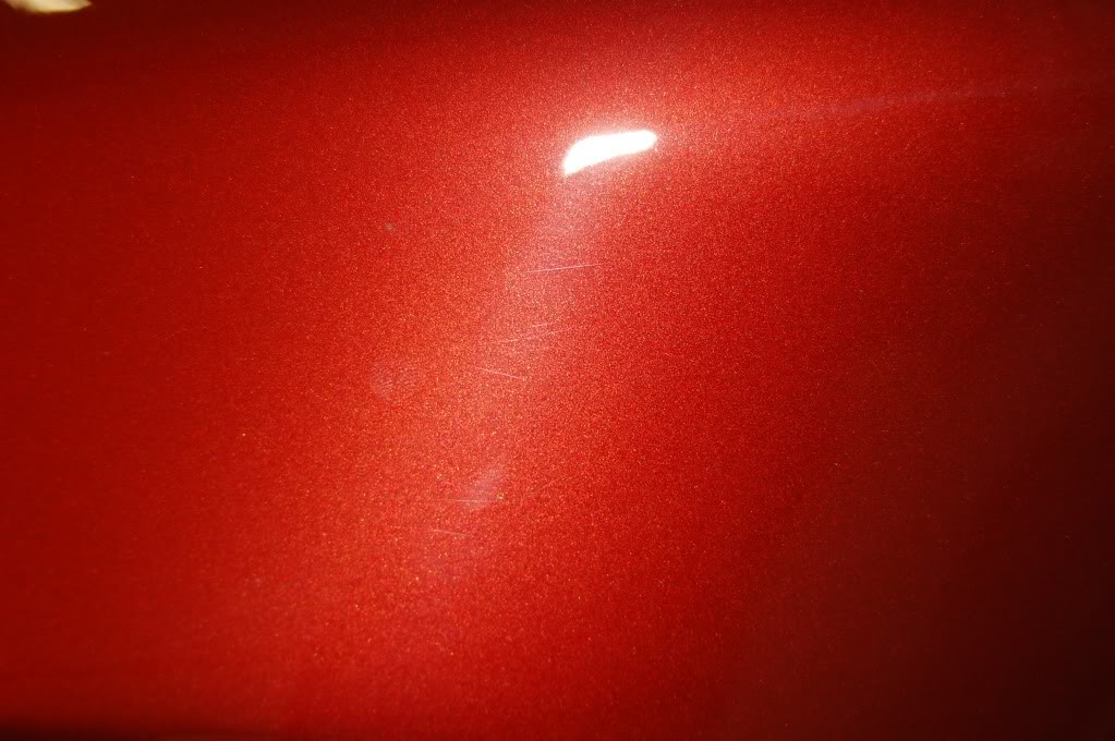 DSC_0499.jpg