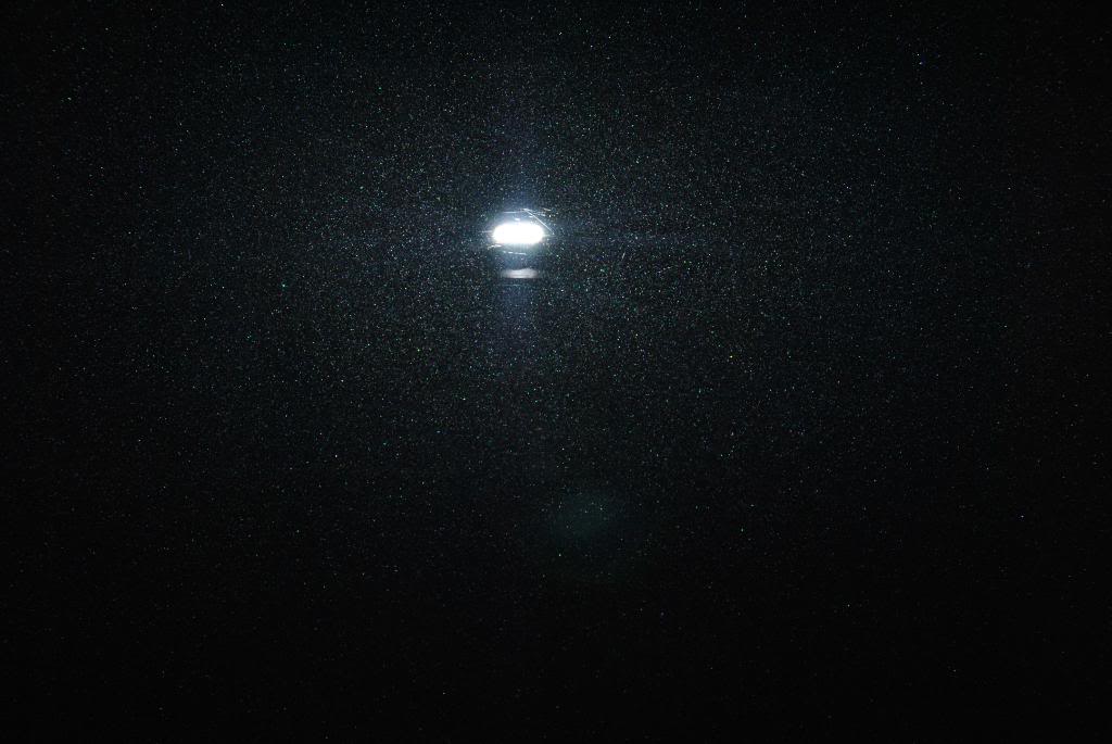 DSC_0499.jpg