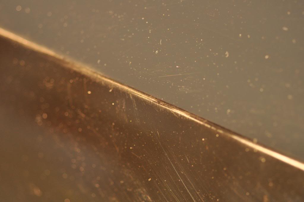DSC_0504.jpg