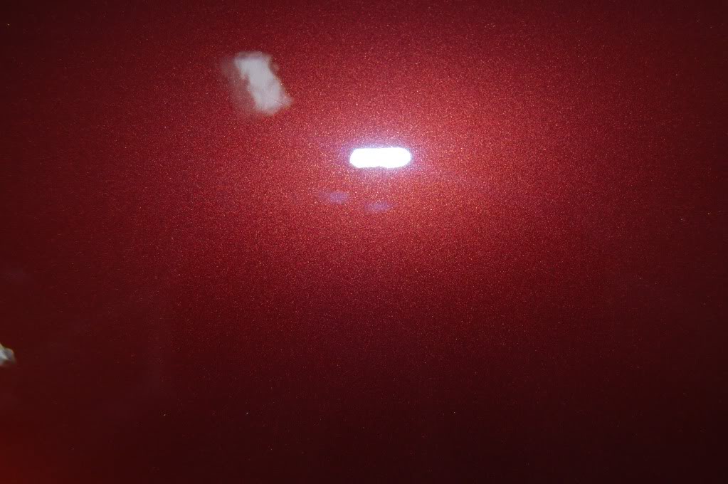 DSC_0514.jpg