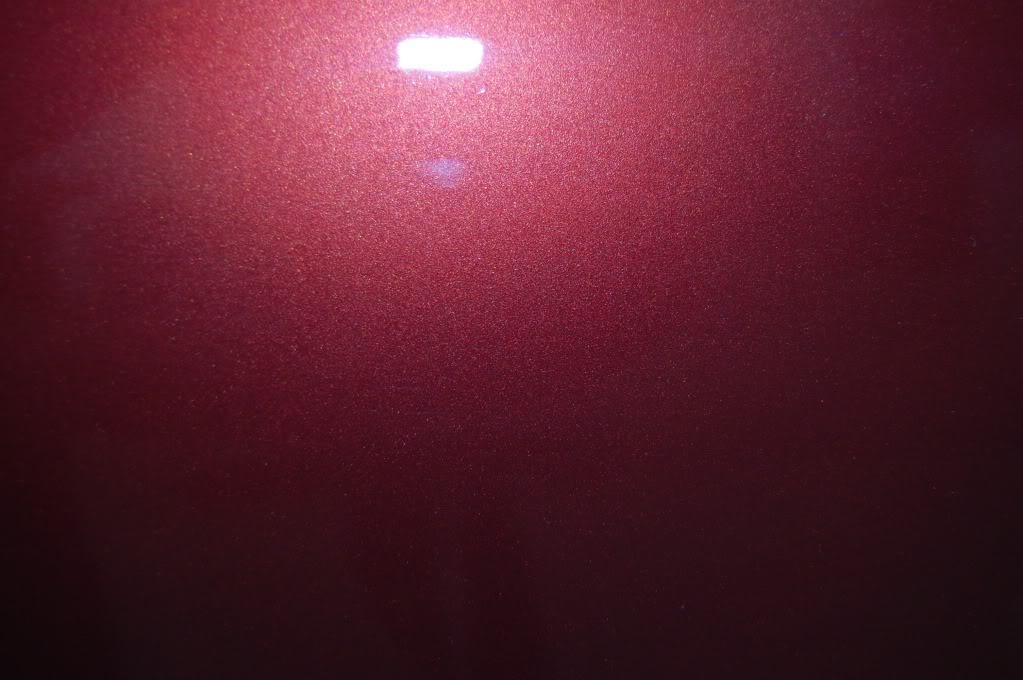 DSC_0530.jpg