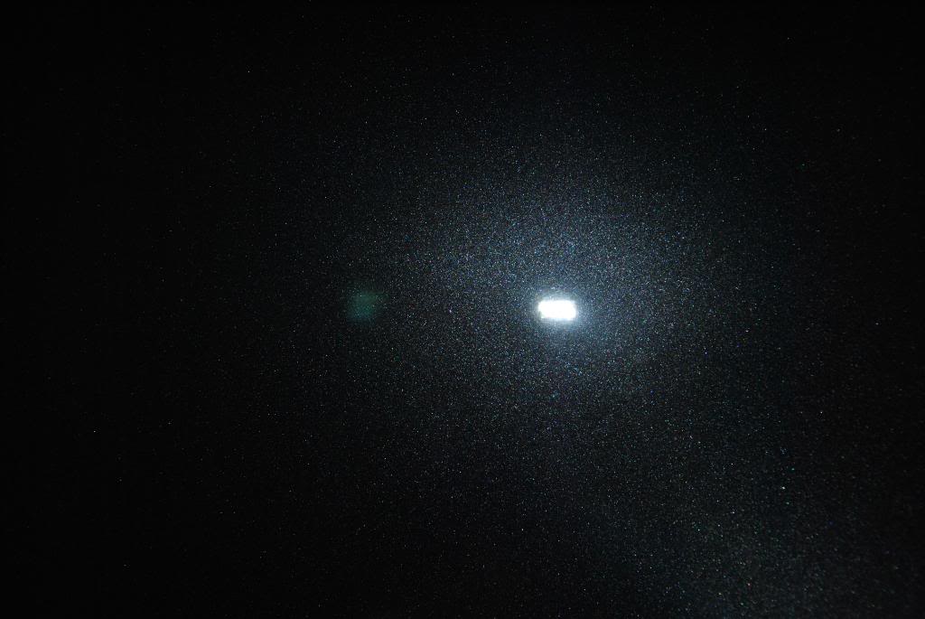 DSC_0535.jpg