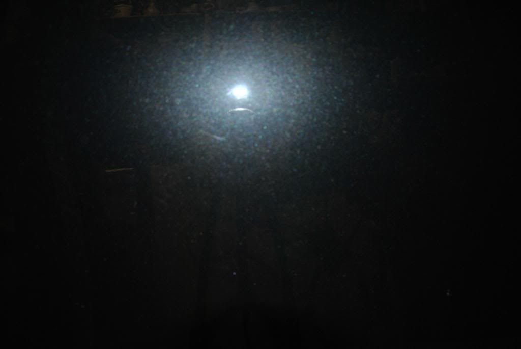 DSC_0550.jpg