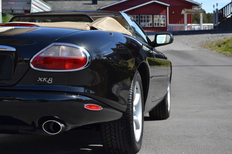 DSC_0562_800x533.jpg
