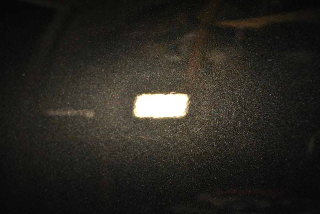 DSC_0563.jpg