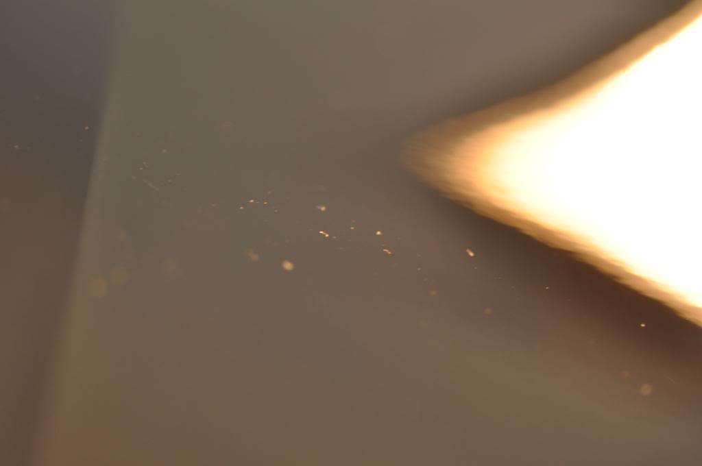 DSC_0563.jpg