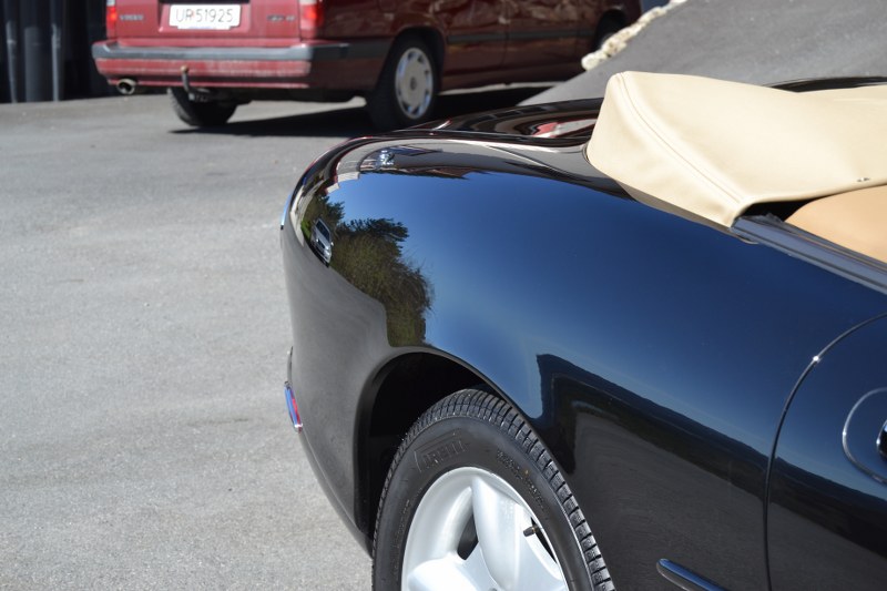 DSC_0566_800x533.jpg