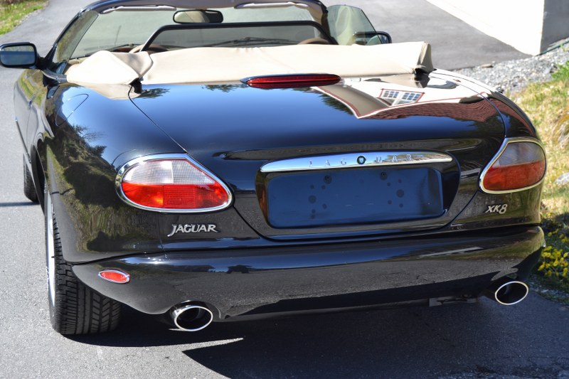 DSC_0582_800x533.jpg