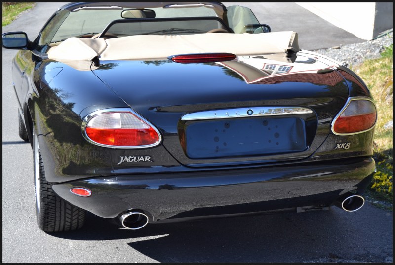 DSC_0582front_800x537.jpg