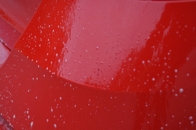 DSC_0672.jpg