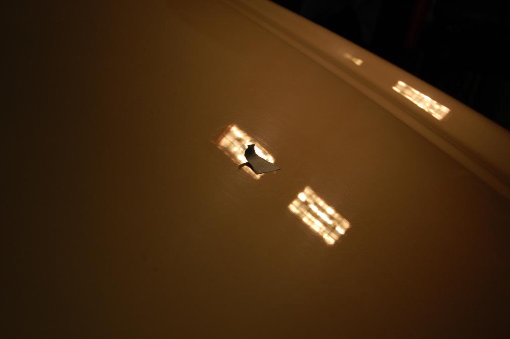 DSC_0724.jpg