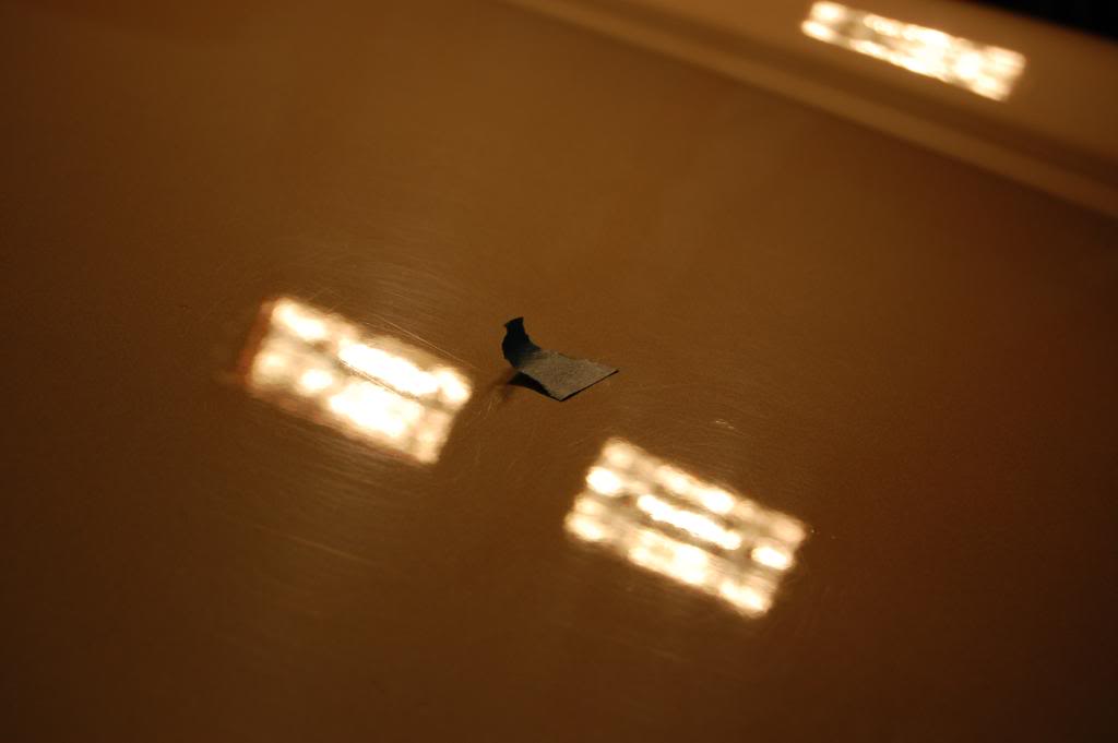 DSC_0726.jpg