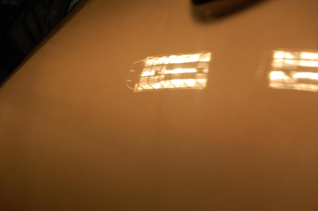 DSC_0733.jpg