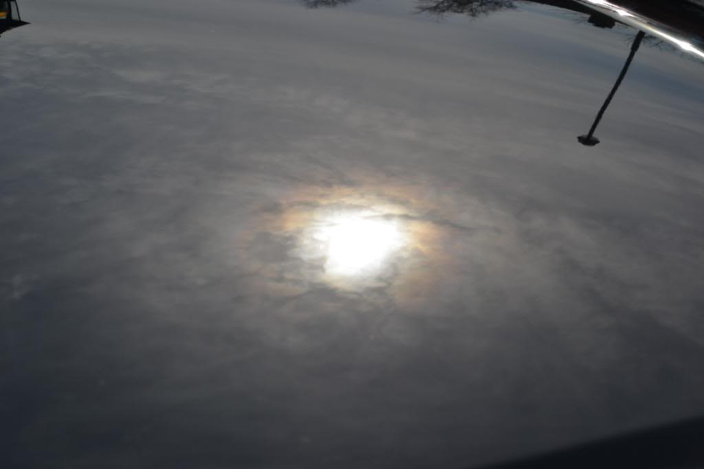 DSC_0966.jpg