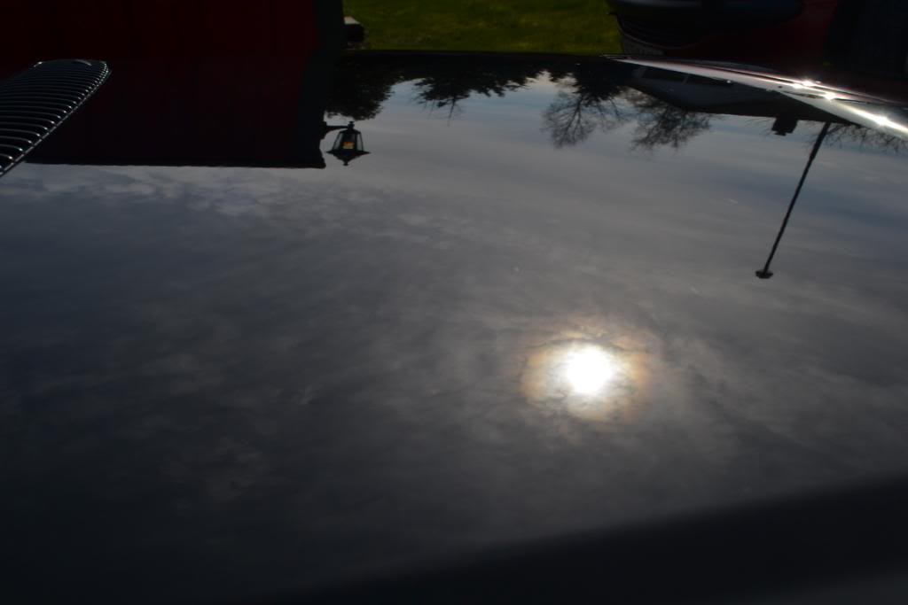 DSC_0969.jpg