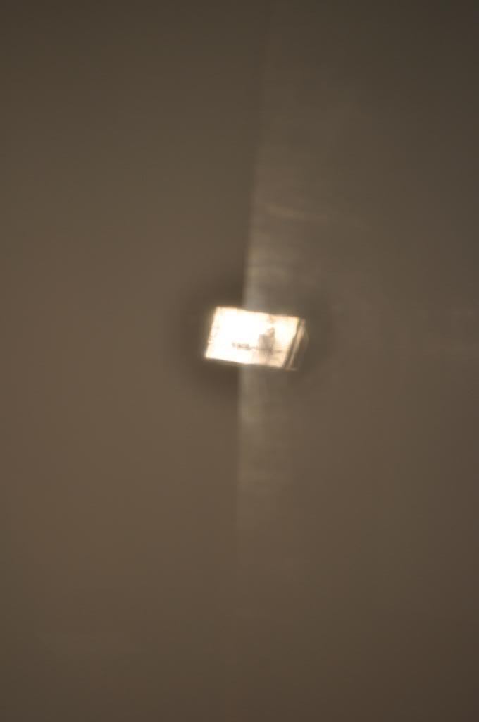 DSC_0976.jpg