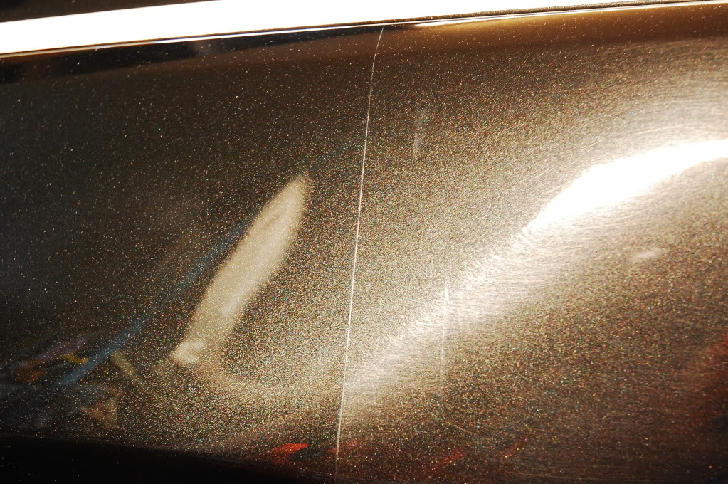 DSC_0985.jpg