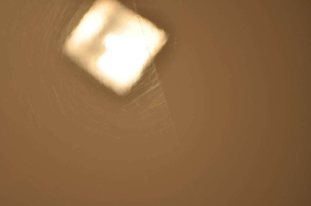 DSC_1032_zps3588cb8b.jpg