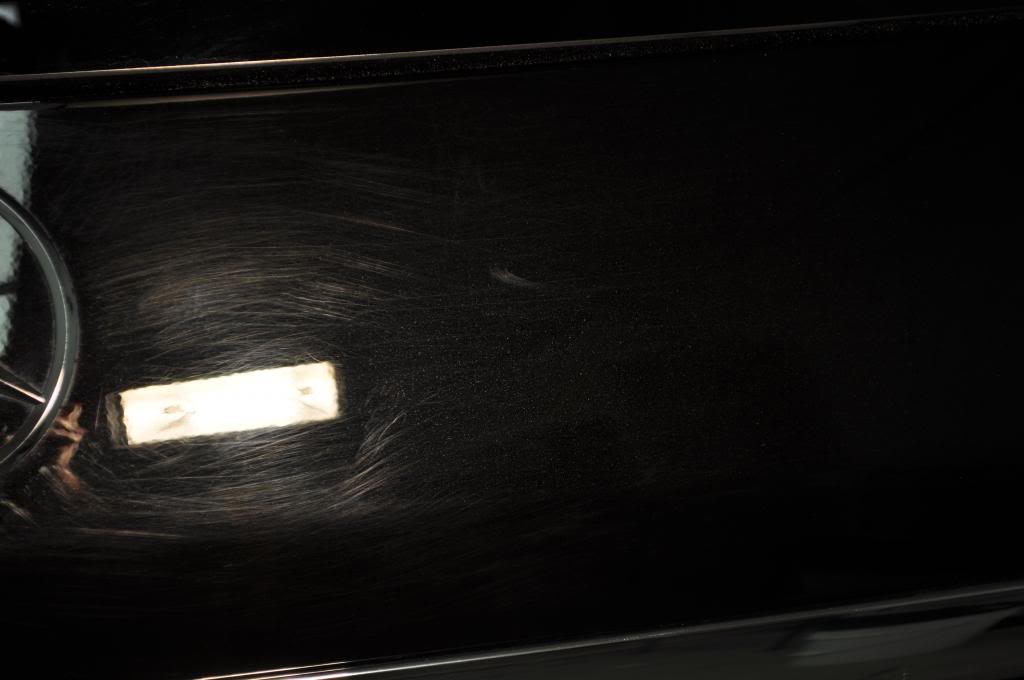 DSC_1041_zps4d9baa12.jpg